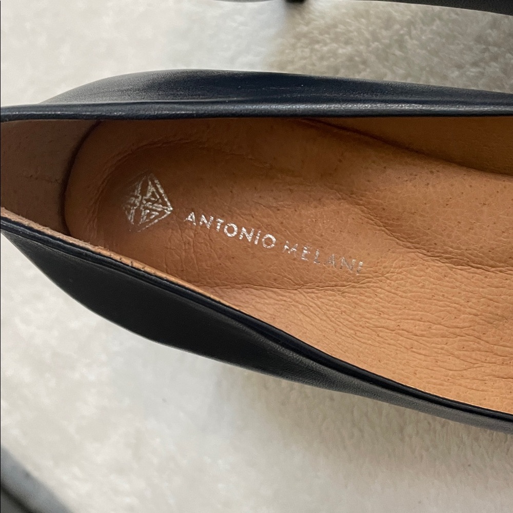 ANTONIO MELANI Elynda leather pumps - Picture 2 of 6